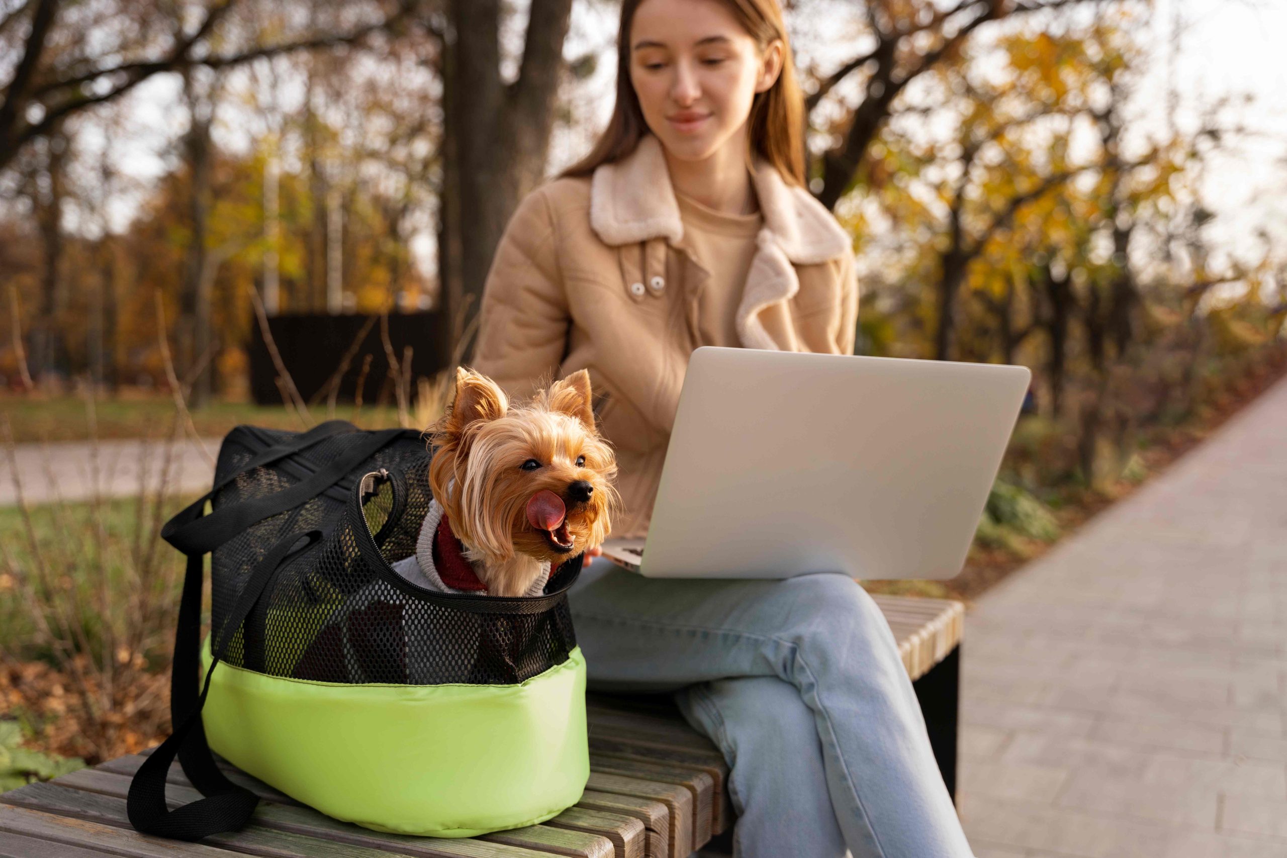 Planning Stress-Free Care for Your Pet